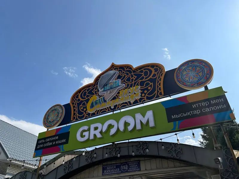 Входная арка Groom, вид сбоку — PixelMedia, Алматы